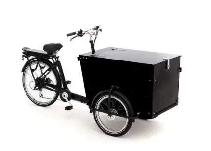 Babboe Pro Trike-E 300L RB/HD 450